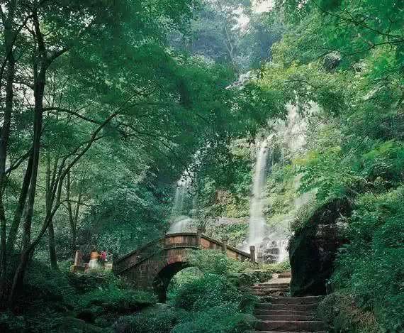 东京迷城